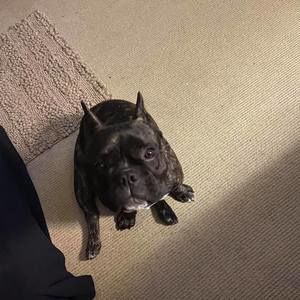 Meet your Posher, Sam